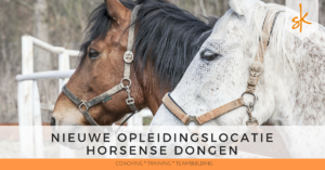 StartKracht - Nieuwe oleidingslocatie voor HarSense Dongen