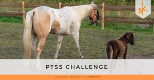 StartKracht - PTSS Challenge