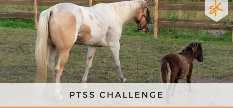 StartKracht - PTSS Challenge