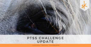 StartKracht - PTSS Challenge Update