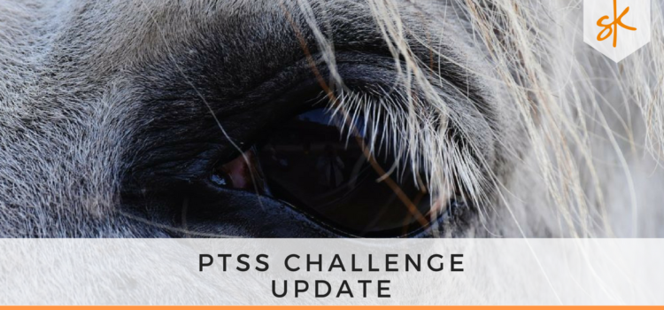 StartKracht - PTSS Challenge Update