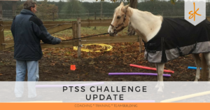 StartKracht - PTSS Challenge Update