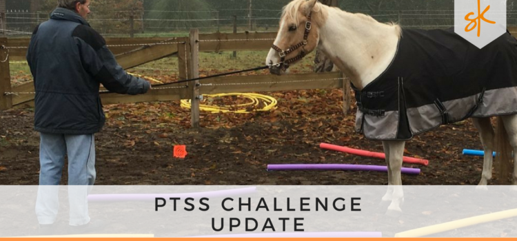 StartKracht - PTSS Challenge Update