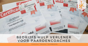 BHV voor paardencoaches