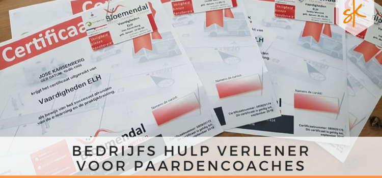 BHV voor paardencoaches