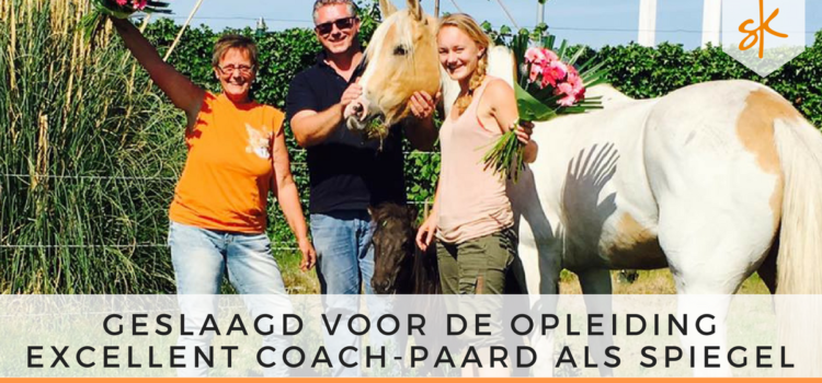 StartKracht - Geslaagd voor de opleiding tot excellent coach Paard als Spiegel