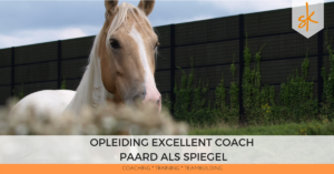 Opleiding Excellent coach - Paard als Spiegel