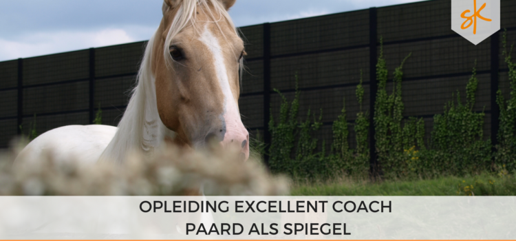 Opleiding Excellent coach - Paard als Spiegel