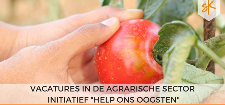 Vacatures in de Agrarische Sector – Initiatief Help ons Oogsten